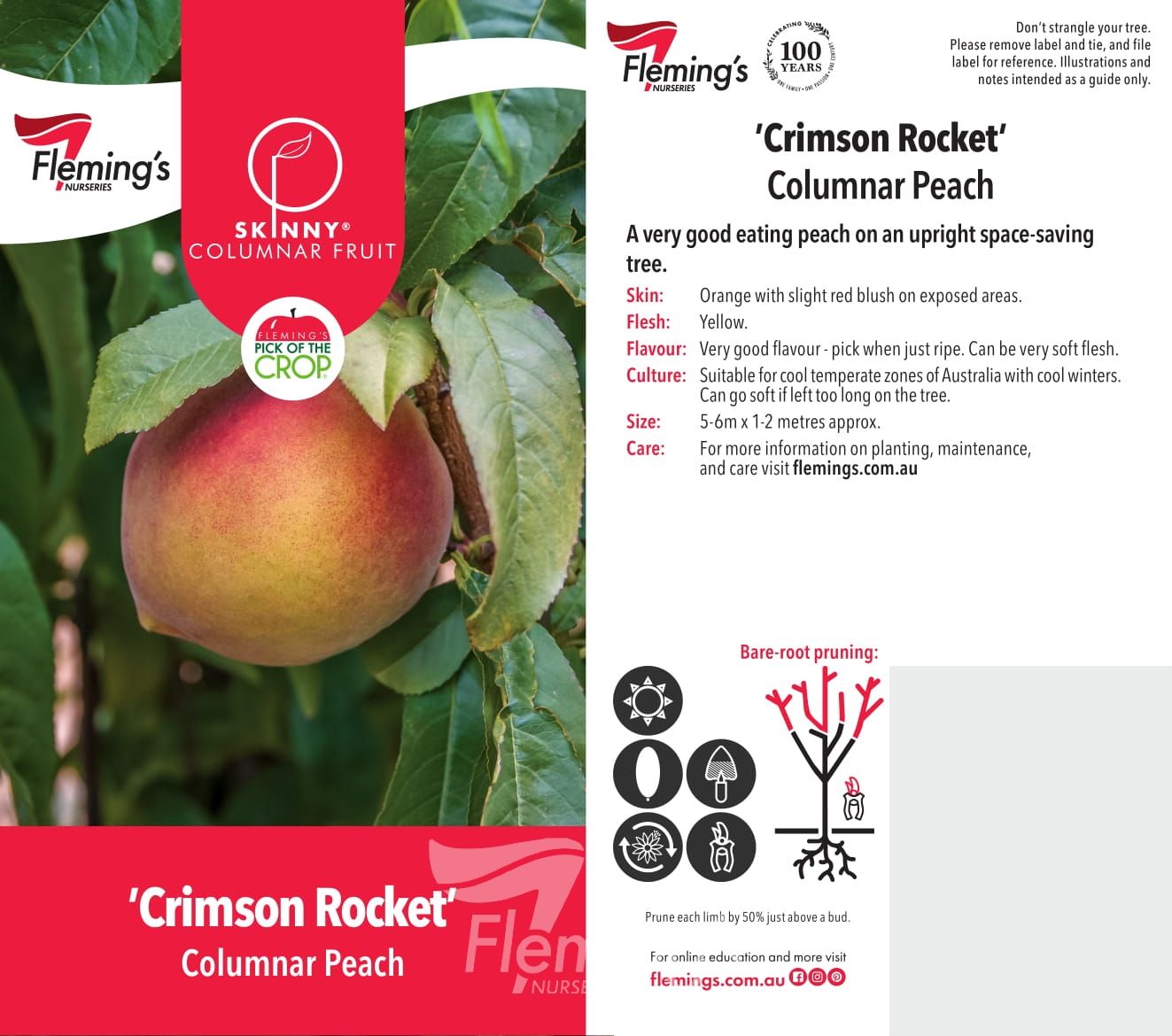 'Crimson Rocket' Peach